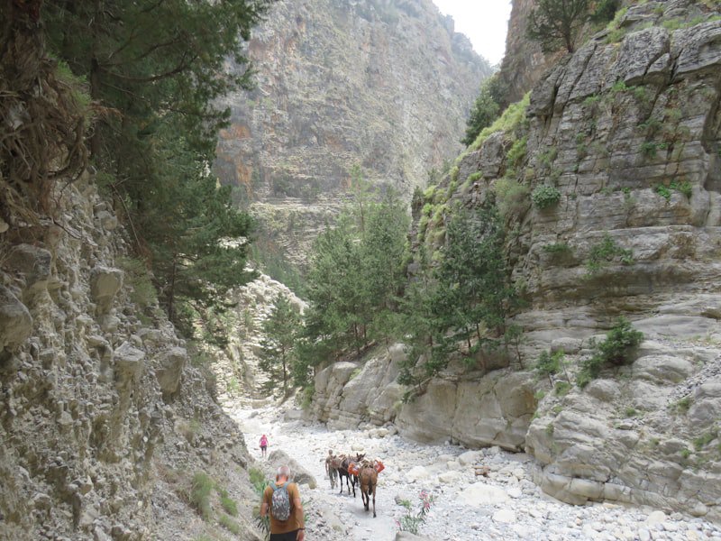 Hikers walking through the rocky path of Samaria Gorge