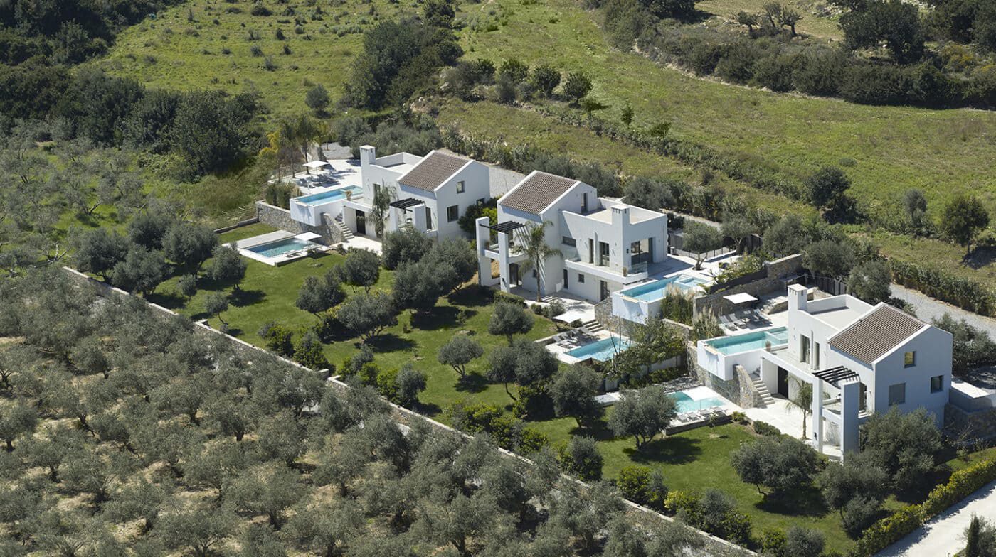 Aerial view of Arbora Olea's three villas surrounded by an olive grove