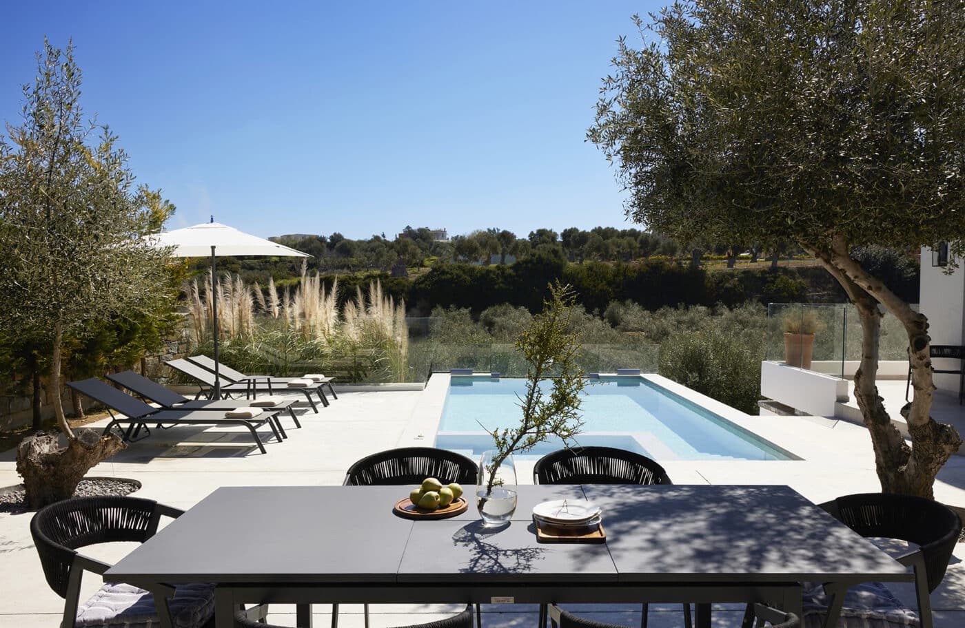 Poolside terrace at Arbora Olea framed by olive trees